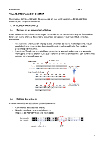 BI.-Tema-10-Programacion-Dinamica.pdf
