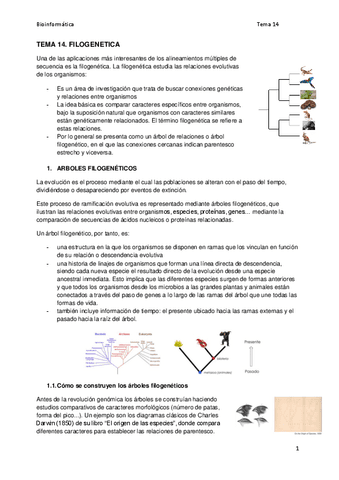 BI.-Tema-14-Filogenetica.pdf