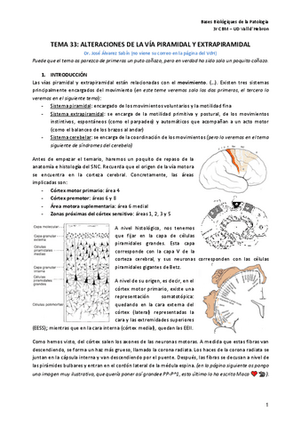 T33.-Via-piramidal-y-extrapiramidal.pdf