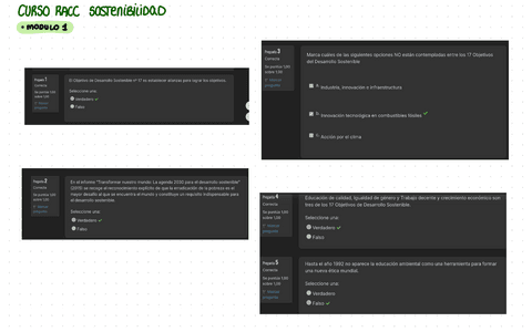 RACC-SOSTENIBILIDAD.pdf