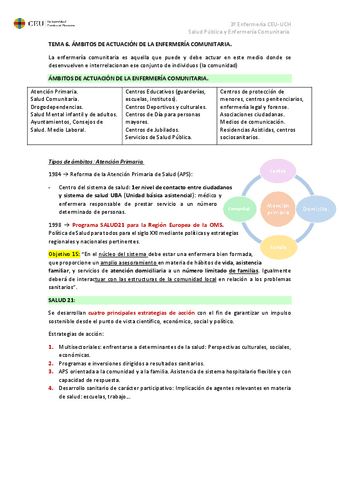 TEMA-6.pdf