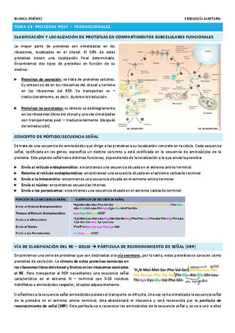 TEMA-13-PROCESOS-POST-TRADUCCIONALES.pdf