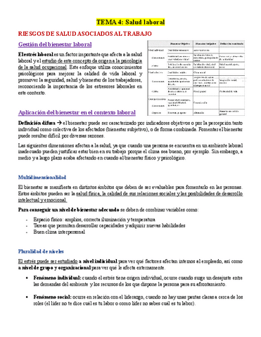 T4-Salud-Laboral.pdf