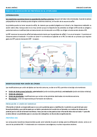 TEMA-14-CLASIFICACION-DE-PROTEINAS.pdf