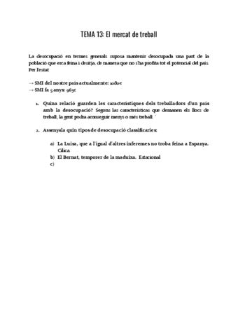 TEMA-13-El-mercat-del-treball.pdf