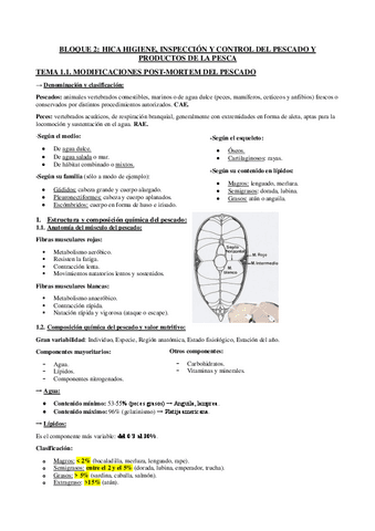 Apuntes-Bloque-2.-Pescado.pdf