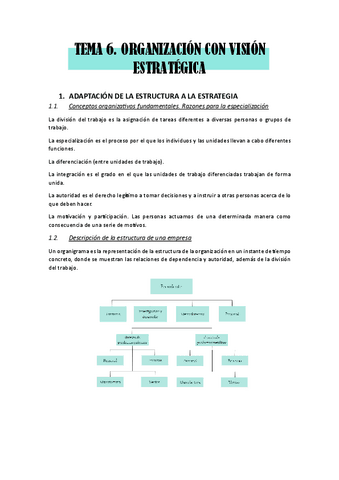 TEMA-6.-organizacion-con-vision.-internacionalizacion.pdf