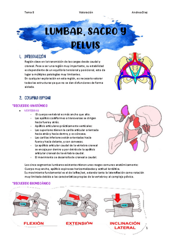 TEMA-8-Lumbar-Sacro-y-Pelvis.pdf