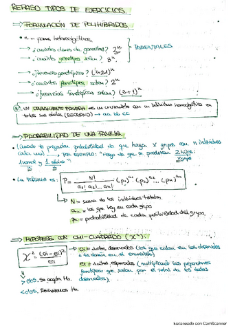 TiposDeEjercicios-Bloque1.pdf
