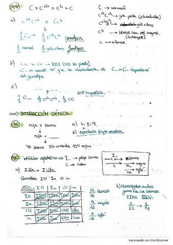 EjerciciosResueltos44-78-Parte-II.pdf