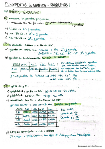 EjerciciosResueltos1-43-Parte-I.pdf