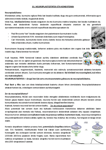 11.-Neuroplastizitatea-eta-konektoma.pdf