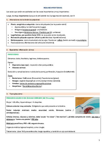 RESUMEN-POR-TEMAS--Cosas-importantesEXAMEN.pdf