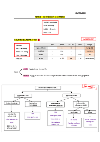 apuntes-NEUMO.pdf