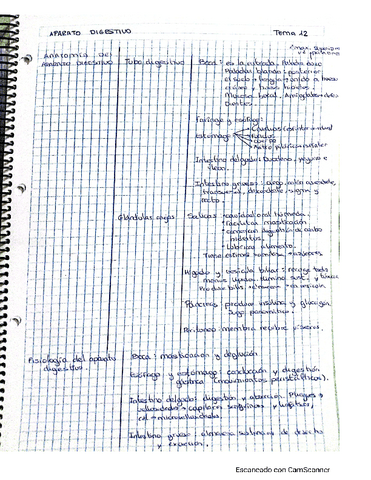 Unidad 12 El Aparato Digestivo Esquema Pdf