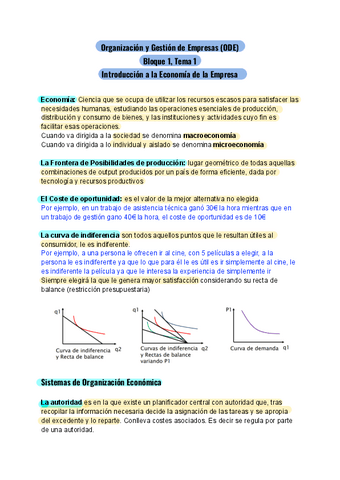 Resumen Completo Empresas (Nota media de 9).pdf