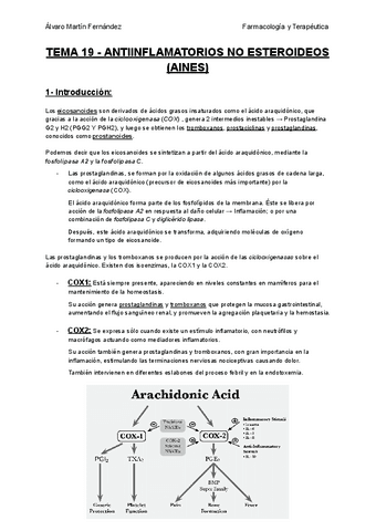 TEMA-19-ANTIINFLAMATORIOS-NO-ESTEROIDEOS-AINES.pdf