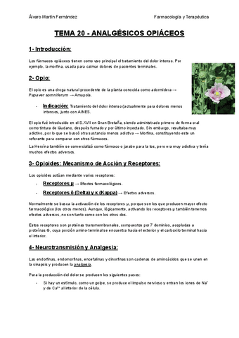 TEMA-20-ANALGESICOS-OPIACEOS.pdf