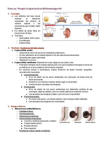 Tema-19.pdf