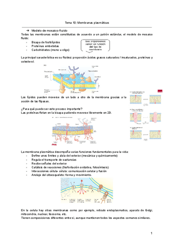 Tema-10-Membranas-plasmaticas.pdf