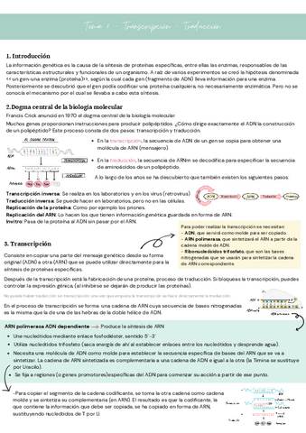 Tema-8-Genetica-molecular.pdf