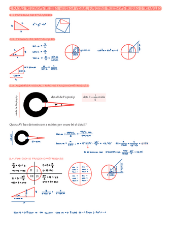2. Raons trigonomètriques, agudesa visual, funcions trigonomètriques i triangles.pdf