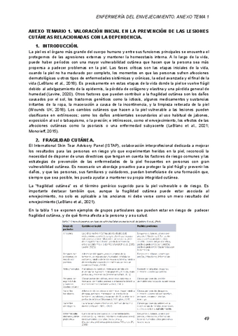 ANEXO-TEMARIO-1.-VALORACION-INICIAL-EN-LA-PREVENCION-DE-LAS-LESIONES-CUTANEAS-RELACIONADAS-CON-LA-DEPENDENCIA..pdf