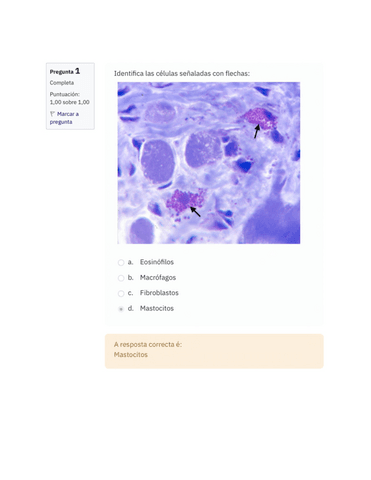 Prueba-Imagenes-Histologia.pdf