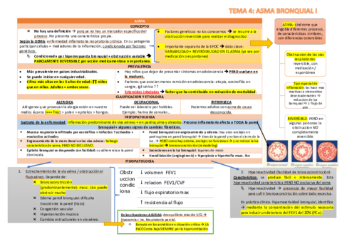 TEMA 4 RESPI.pdf