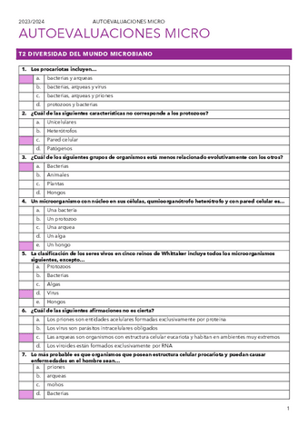 AUTOEVALUACION-T2.pdf