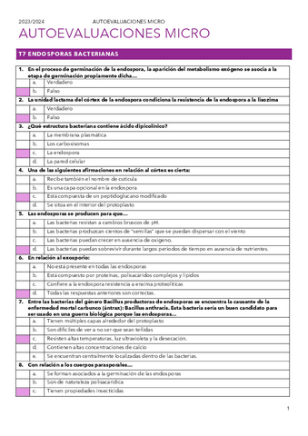 AUTOEVALUACION-T7.pdf