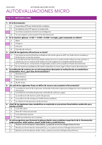 AUTOEVALUACION-T1011.pdf