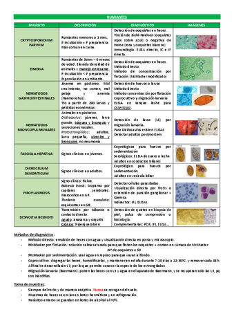 Resuemen-practicas-E.P.pdf