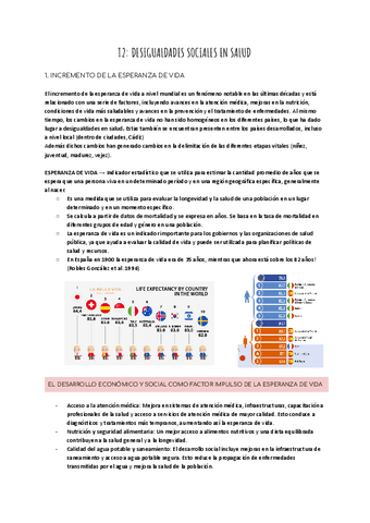 T2-DESIGUALDADES-SOCIALES-EN-SALUD.pdf