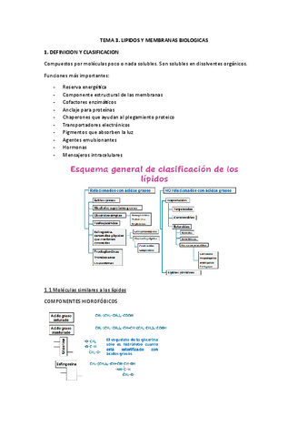 TEMA-3-BQ.pdf