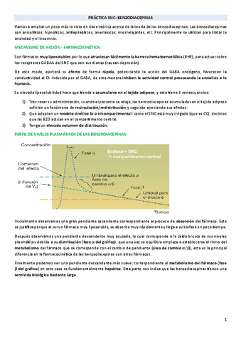 PRACTICA-SNC-benzodiacepinas.pdf