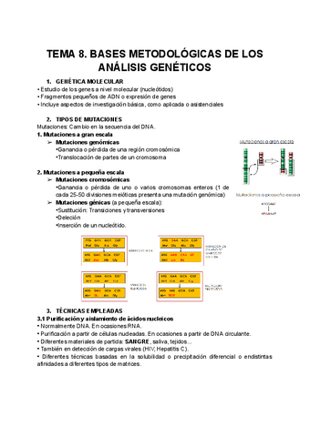 TEMA-8.-BASES-METODOLOGICAS-DE-LOS-ANALISIS-GENETICOS.pdf