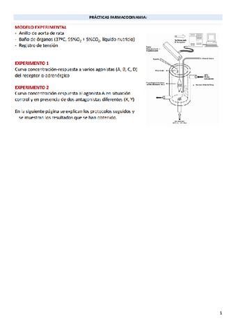 PRACTICA-FARMACODINAMIA.pdf