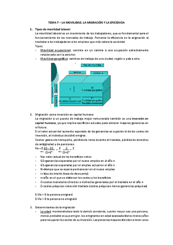 TEMA-7.pdf