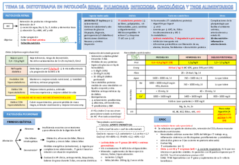 Tema 16. Dietoterapia en renal- pulmonar, oncologico....pdf