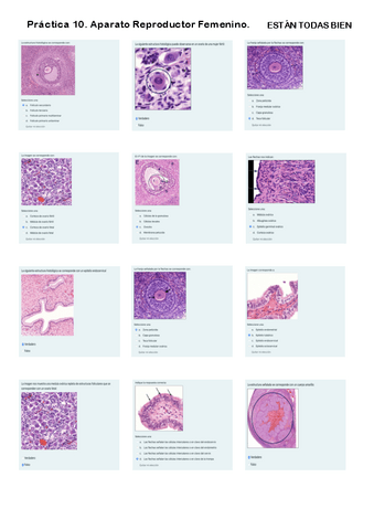Práctica 10. Cuestionario Aparato Reproductor Femenino.pdf
