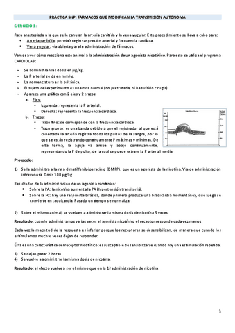 PRACTICA-SNP.pdf
