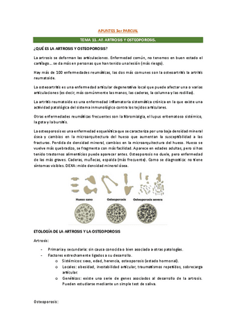 APUNTES-3er-PARCIAL.pdf