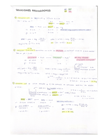 soluciones-reguladoras.pdf