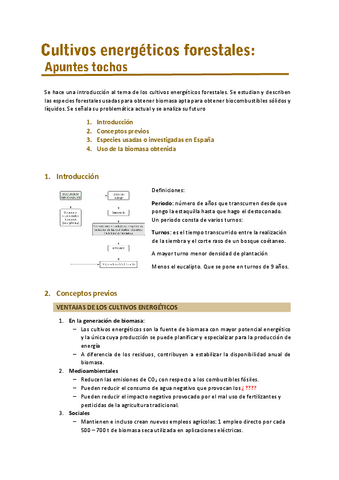 Apuntes-cultivos-energeticos-forestales-tocho.pdf