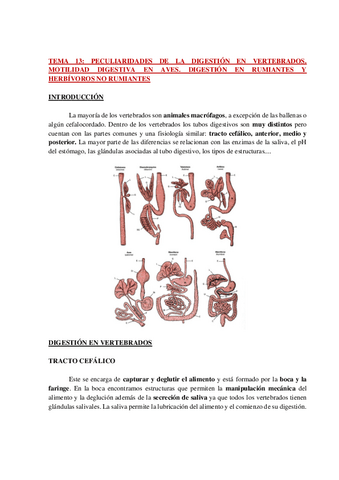 AP-FISIO-ANIMAL-COMPARADA-TEMA-13-WH.pdf