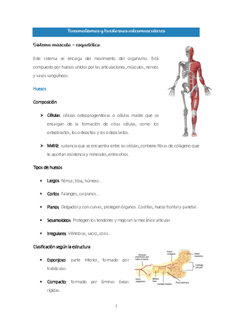 Tema-5.-Traumatismos-y-trastornos-osteomusculares.pdf