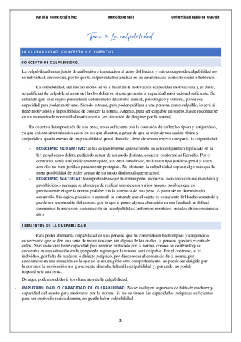 TEMA-7.pdf