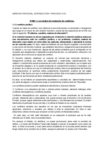 TEMARIO-DERECHO-PROCESAL.pdf