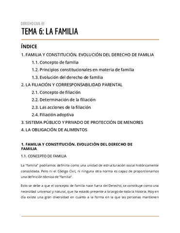 T.6-DERECHO-CIVIL-I.pdf